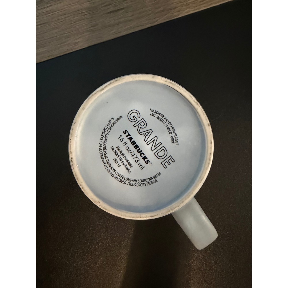 Starbucks Grande Mug 16oz Light Blue Matte Embossed Siren Logo Ceramic Cup